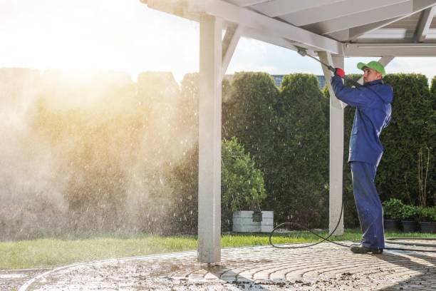 Boat and Dock Cleaning in Sammamish, WA