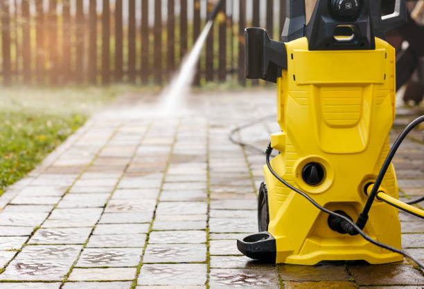 Animal Enclosure Cleaning in Sammamish, WA